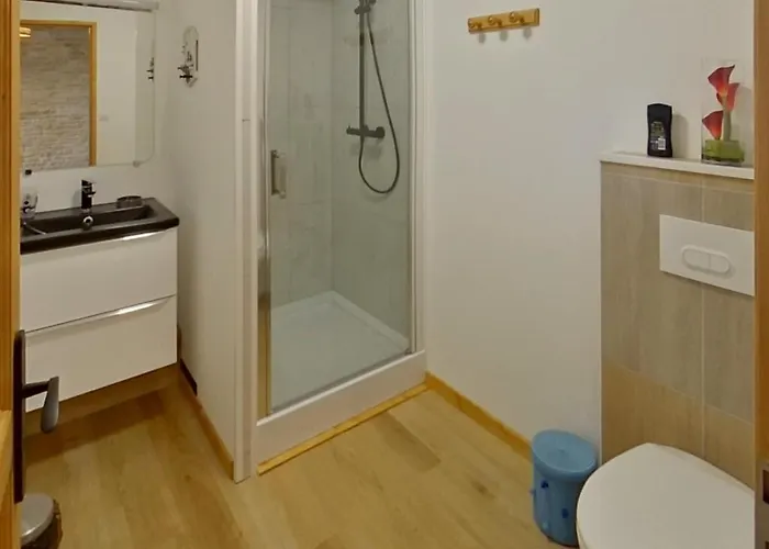 דירה Cosy Parking Prive Situe Au Coeur Du Village